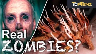 Top 10 SHOCKING Real Theories About ZOMBIES