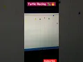 Python Turtle Racing tutorial