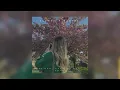 Mr Lambo, Xcho — Все будет хорошо | slowed + reverb |