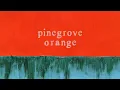 Pinegrove - \