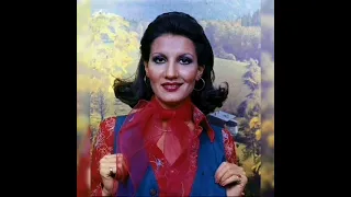 نسرين و ضياء Duxtar Sherazae 