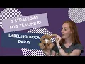 Three Strategies for Teaching Littles to Label Body Parts