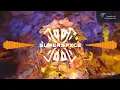 SUBTRONICS, EXCISION - ASTEROID