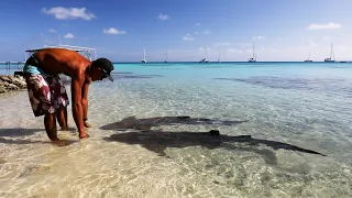 The SHARK WHISPERER of Fakarava | Tranquilo Sailing Around the World | Ep.92