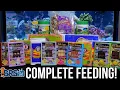 Better Reef Tank Feeding with San Francisco Bay
