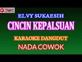 Download Lagu KARAOKE DANGDUT CINCIN KEPALSUAN - ELVY SUKAESIH (COVER) NADA COWOK