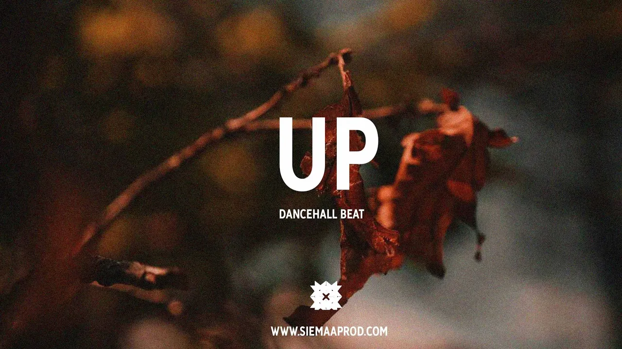 [FREE] Dancehall riddim instrumental 2019 - "Up"