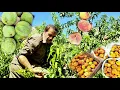 Download Lagu 🍑 Nomadisch leven in Iran | Perzik- en walnotenoogst in de bergen 🏔️