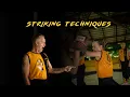 Download Lagu Kung Fu Striking Techniques