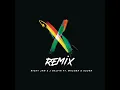 X (Remix)