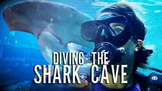 Diving THE SHARK CAVE!  ~DRENCHED Ep. 4~