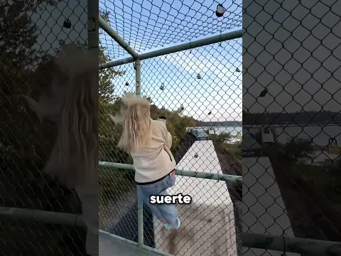 El tren le recordó a Subway Surfers!