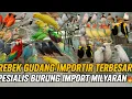 Download Lagu GREBEK‼️ GUDANG IMPORTIR BURUNG 🦜 TERBESAR STOK RIBUAN EKOR BERNILAI MILYARAN DI PASAR PRAMUKA