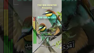 صوت الوروار الأوروبي المجر ب بالصيد مجاني هدية لأحلى متابعين Hunting Tordo Birds 