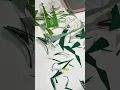Download Lagu Let’s make paper backdrops ✂️