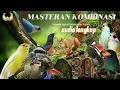 SUARA BURUNG MASTERAN KOMBINASI #SIKATANLONDO SPEED RAPET PULL TEMBAKAN!!!