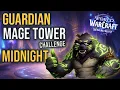 WoW Midnight Mage Tower Guide - Guardian Druid Fel Werebear Full Strategy