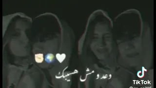 وعد ومش هسيبك يا نن عين حبيبك اجمل حالات واتس 