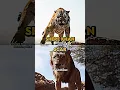 Download Lagu Shere Khan vs Scar (LA)