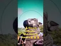 Download Lagu Vantha Vinaiyum Varukentra 👃👃👃👃🌺🌺🌺🦚🦚🦚⭐⭐⭐💐💐💐