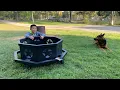 Fire Pit ON SALE 139 from Tractor Supply Good design lightweight for RV camping trip