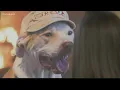 Macon-Bibb County mourns AC Pup at funeral service