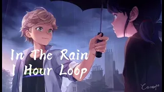 Miraculous Tales Of Ladybug Chat Noir In The Rain 1 Hour Loop 