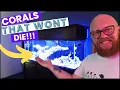 Download Lagu 8 geweldige koralen voor beginners of luie rifverzorgers