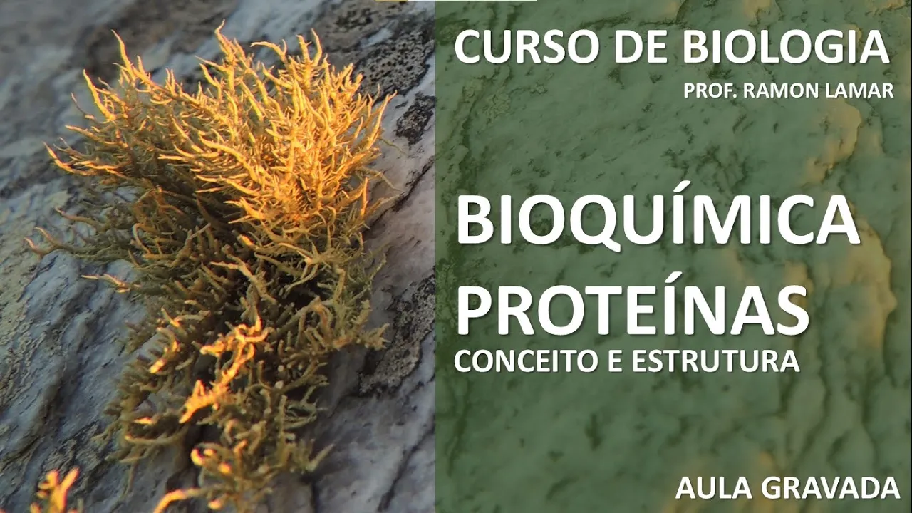 PROTEÍNAS: CONCEITO E ESTRUTURA