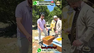 تفكير المصور اثناء جني العسل الجبلي عسل العسل مصور تركيا السويد المانيا غذائيات المونة 