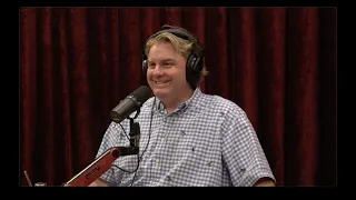 Joe Rogan Experience - Tim Dillon