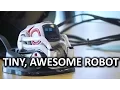 Ultimate Robot Companion - Anki Cozmo Showcase