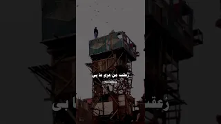بدريه السيد موال اغاني 