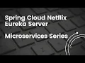 Spring Cloud Eureka Server Microservices Developer s Guide