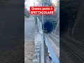 Lagu Treno che esce dalla galleria di Marano Ticino 😱 #train #ferrovia #railway #galleria #treno #zug