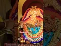 Download Lagu Mysuru Chamundeshwari Darshanam Aarati 🙏🌹#divinedevotee7