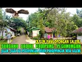 Lagu SUASANA DAMAI DIPEGUNUNGAN..!! JALAN JALAN KE DUSUN PANGOYONGAN DESA SALEBU MAJENANG CILACAP JATENG