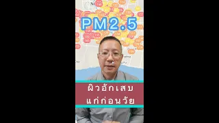  PM2.5 ส่งผลต่อผิวหนังอย่างไร และทำให้เกิดโรคอะไรได้บ้าง 