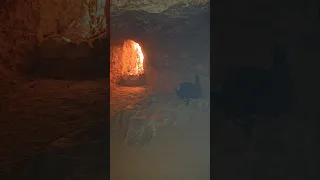 Back To My Hidden Shelter Wilderness Bushcraft Camp With Dog In Winter Nature Camping Asmr 