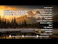 Download Lagu DJ Breakbeat Im In Love 2025 | Breakbeat Paling Asik Di Room #req Mr.BigShow