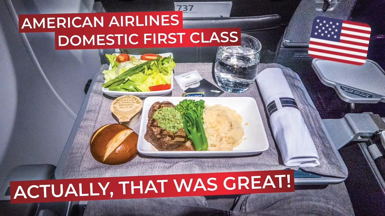 BRUTALLY HONEST | Domestic First Class on American Airlines' Boeing 737-800!