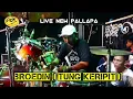Download Lagu NEW PALLAPA BROEDIN ( TUNG KERIPIT )