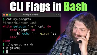 Crash-Course in using getopts to parse Command Line Arguments in Bash