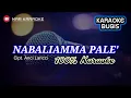 NABELLEAMMA PALE KARAOKE || Cipt. Anci Laricci (Versi electone)