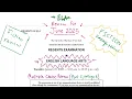 January 2025 English Language Arts ELA Regents Review Part 1 Passage A FICTION