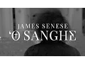 Lagu James Senese - 'O sanghe