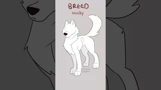 Create A Dog Character Pause OC Challenge 