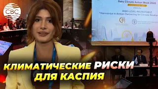 Изменение уровня Каспия влияет на его экосистему и инфраструктуру