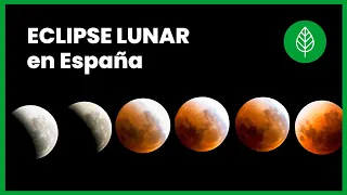 🌕 Eclipse lunar parcial 2026: hora exacta para ver la Luna llena del Esturión eclipsarse en España