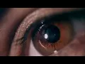 The Dream Of Life - Alan Watts